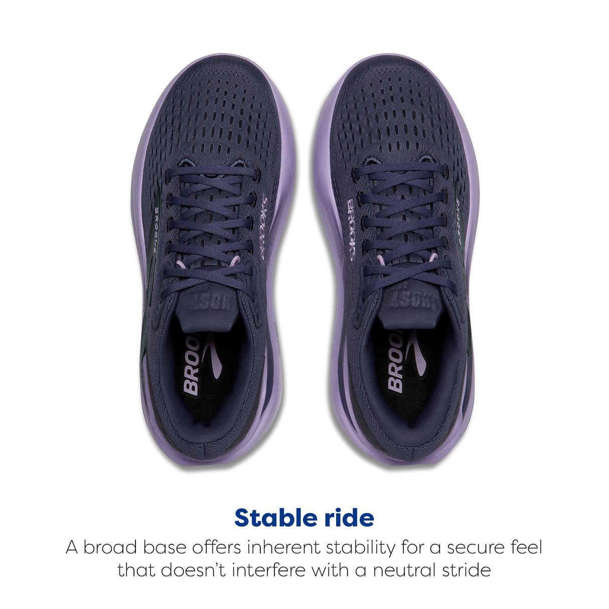 Nighshadow/Ebony/Purple