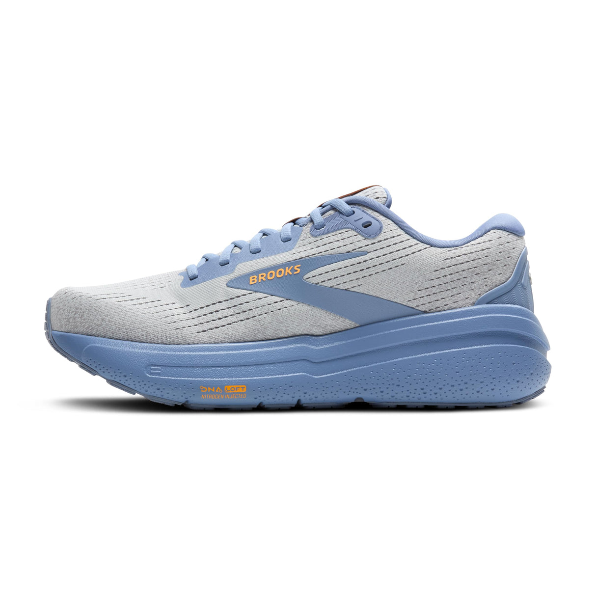 Oyster Mushroom/Blue/Orange