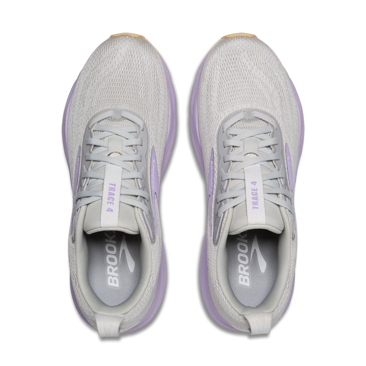 Oyster/Purple/Sherbert