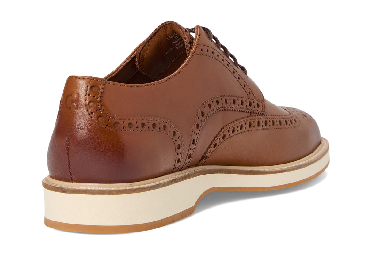 Ch British Tan/Ivory/Gum