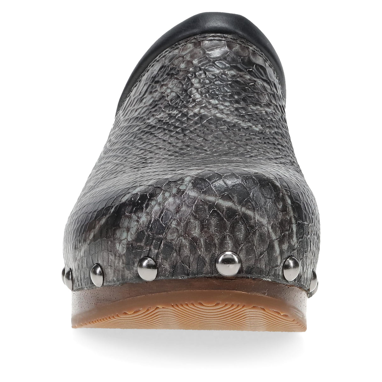 Grey Snake