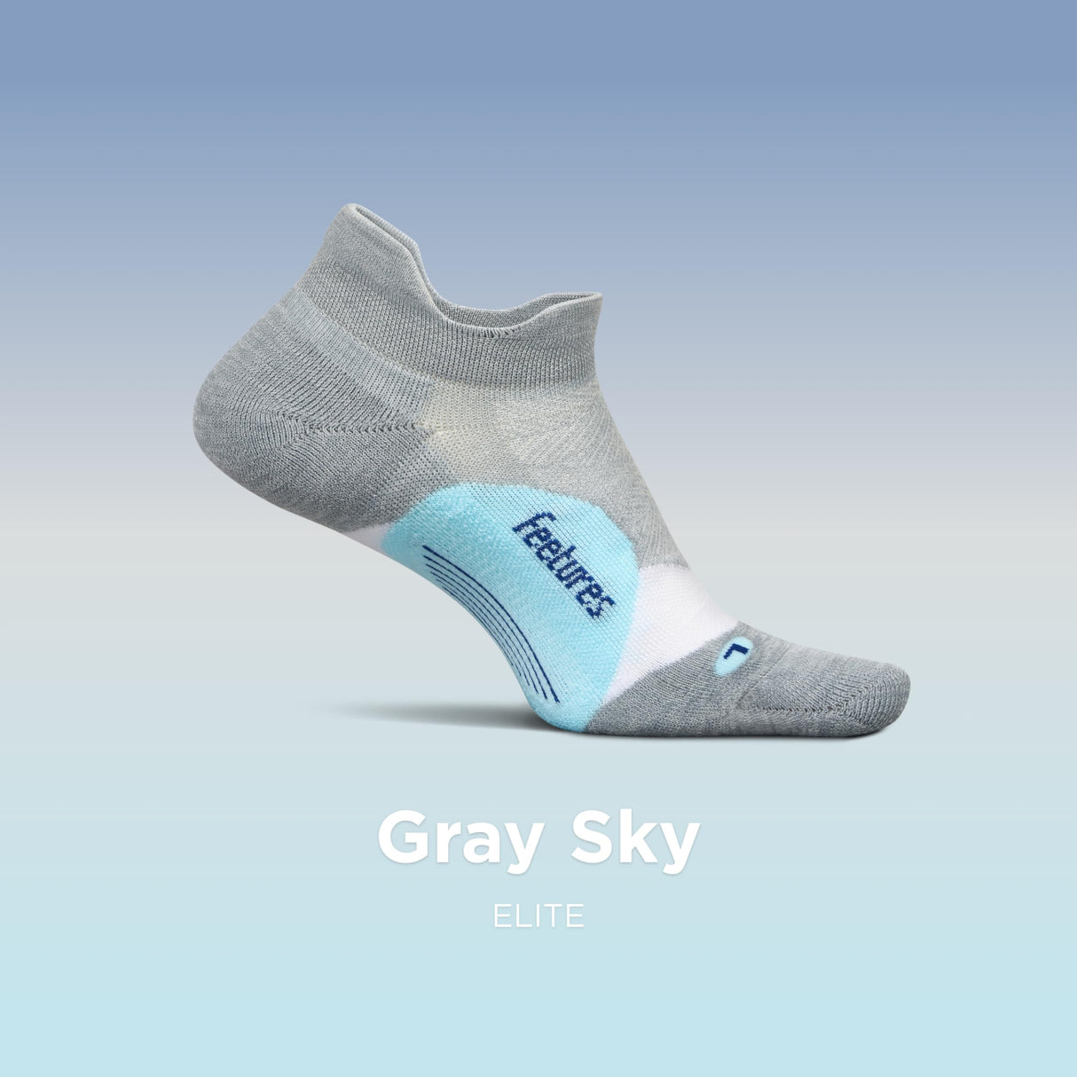 Gray Sky