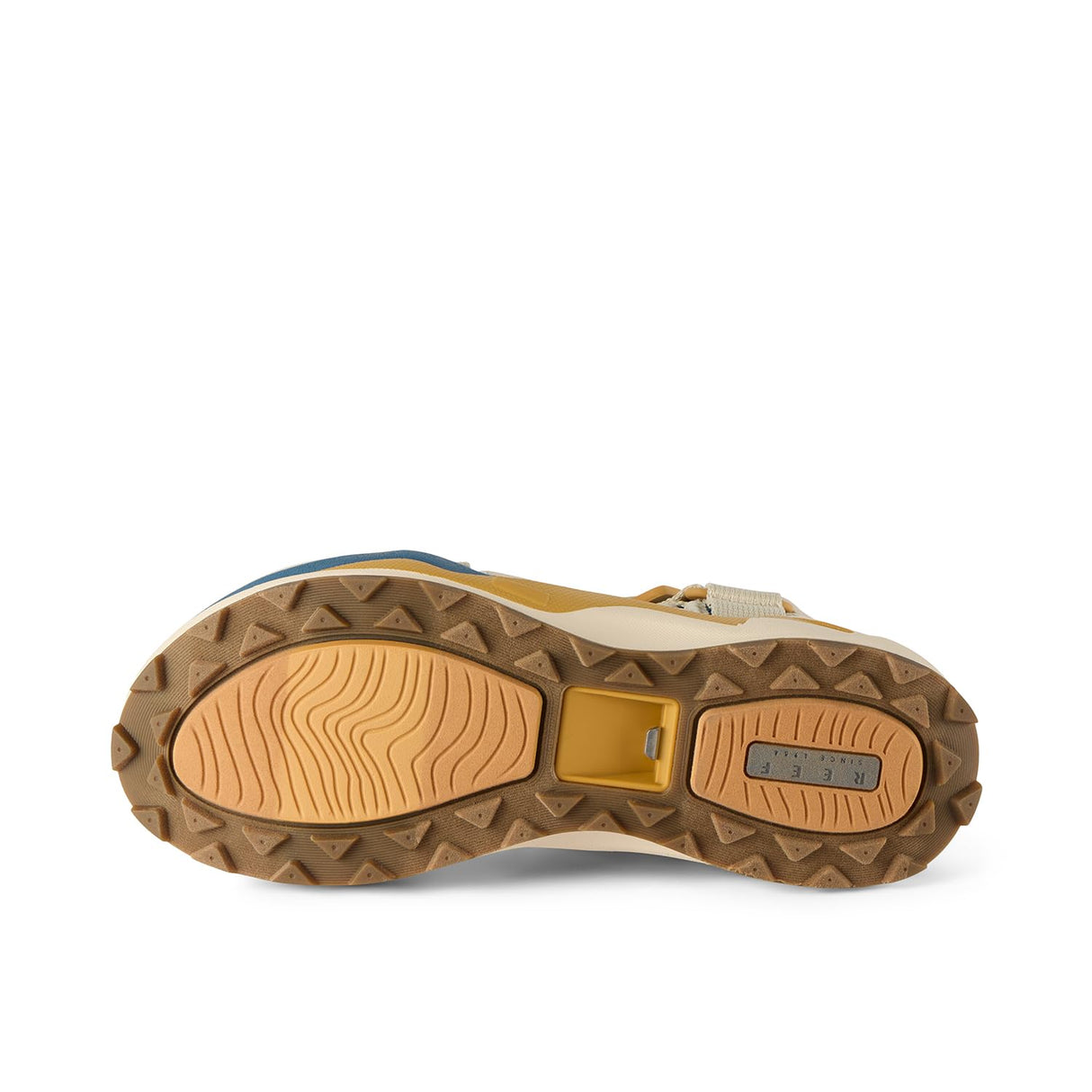 Tan/Wheat/Blue