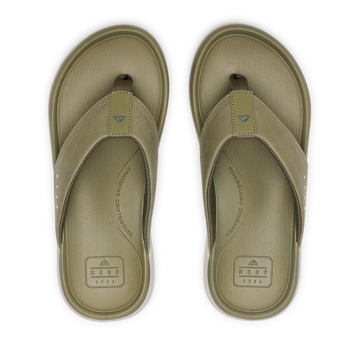 Olive Vintage