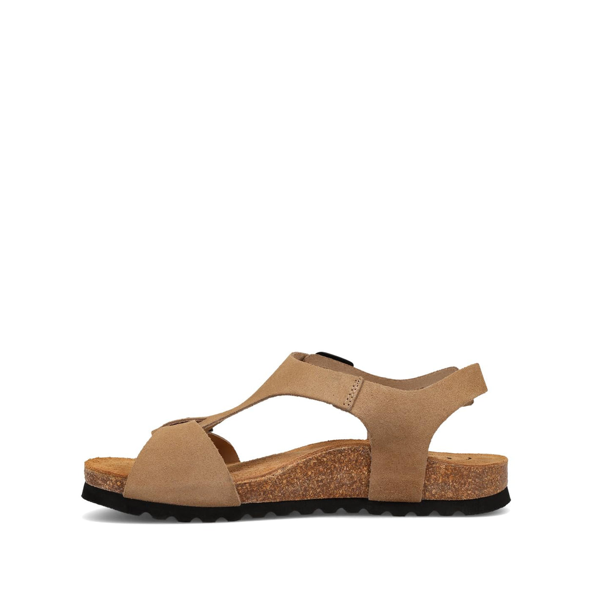 Oat Suede