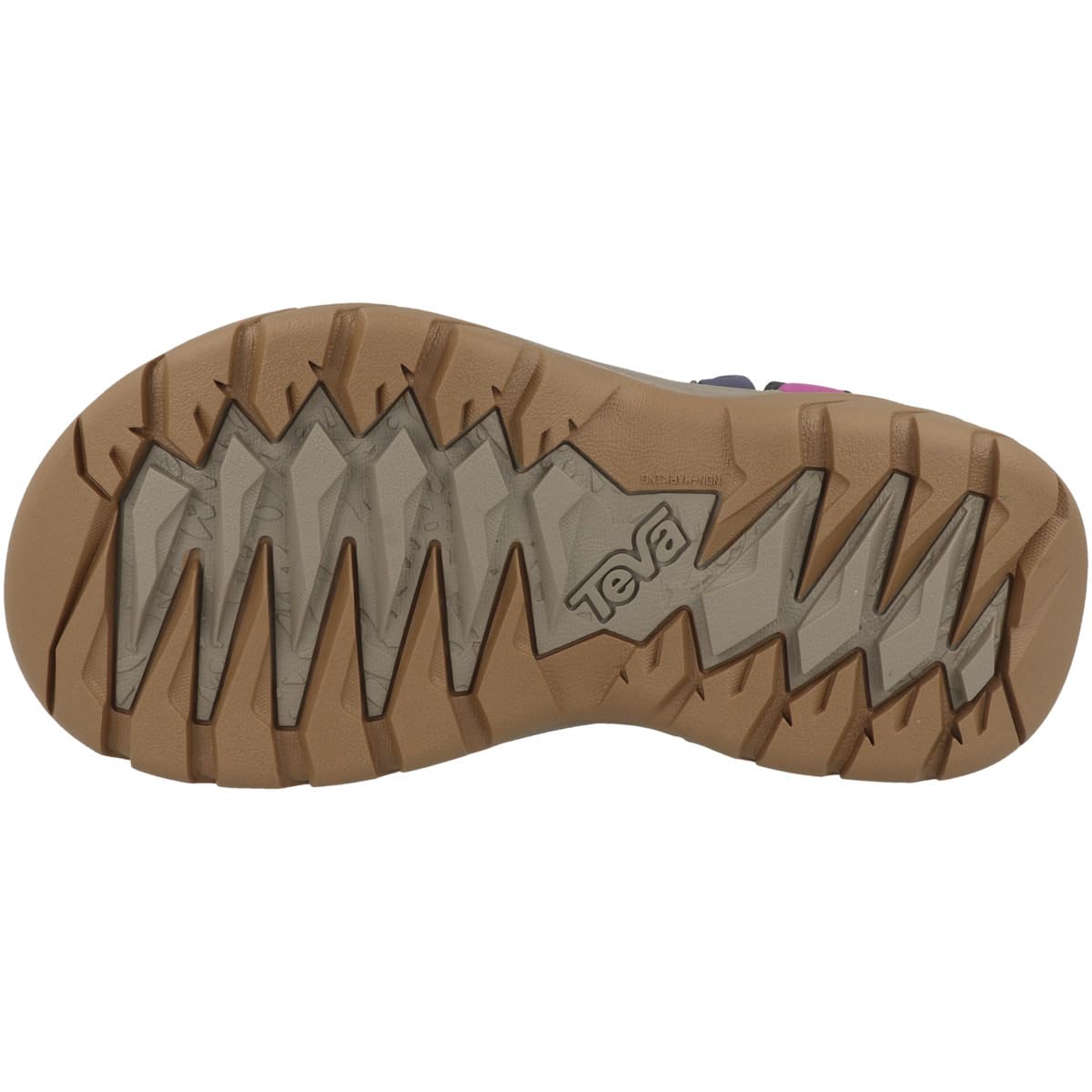 Iguana