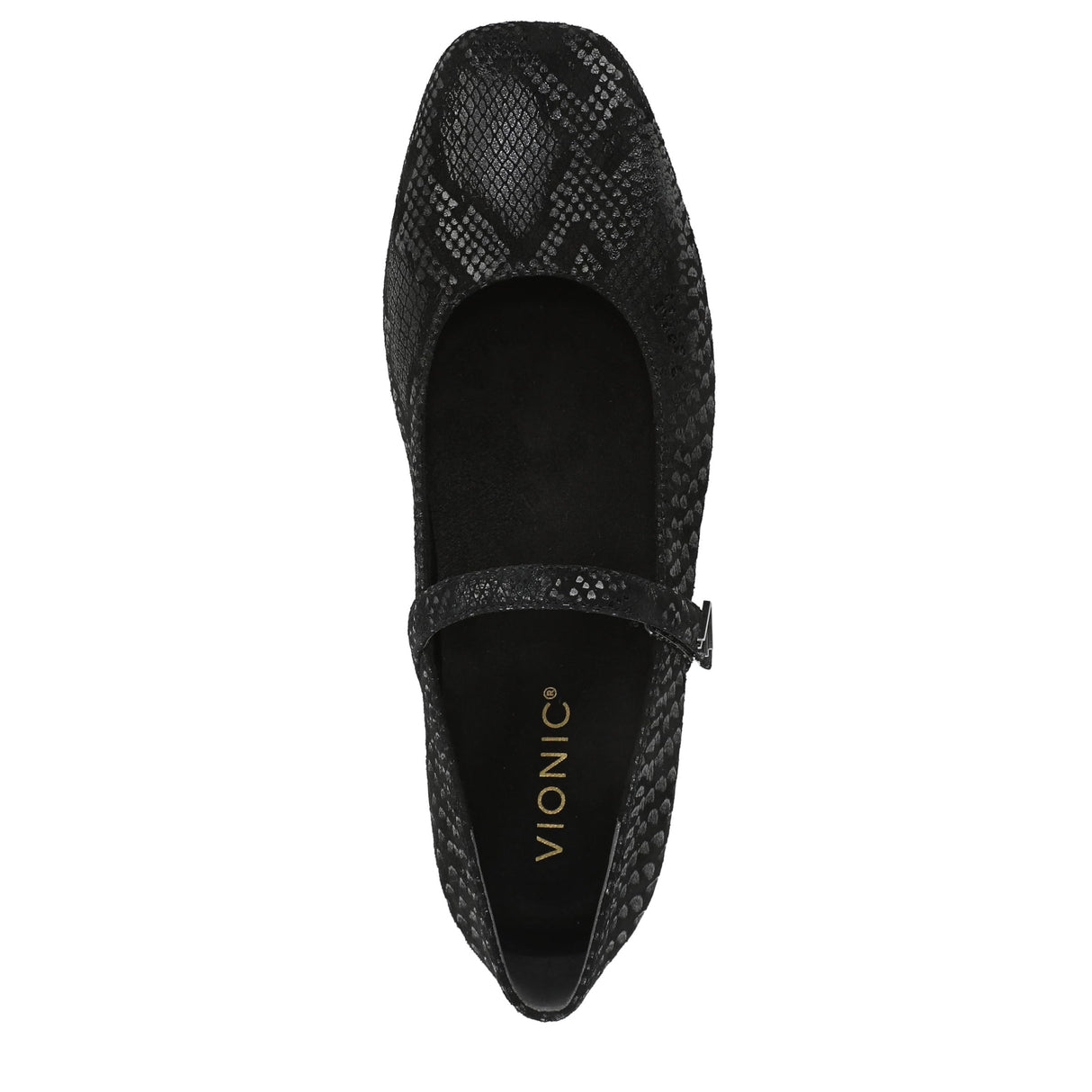 Black Snake Suede
