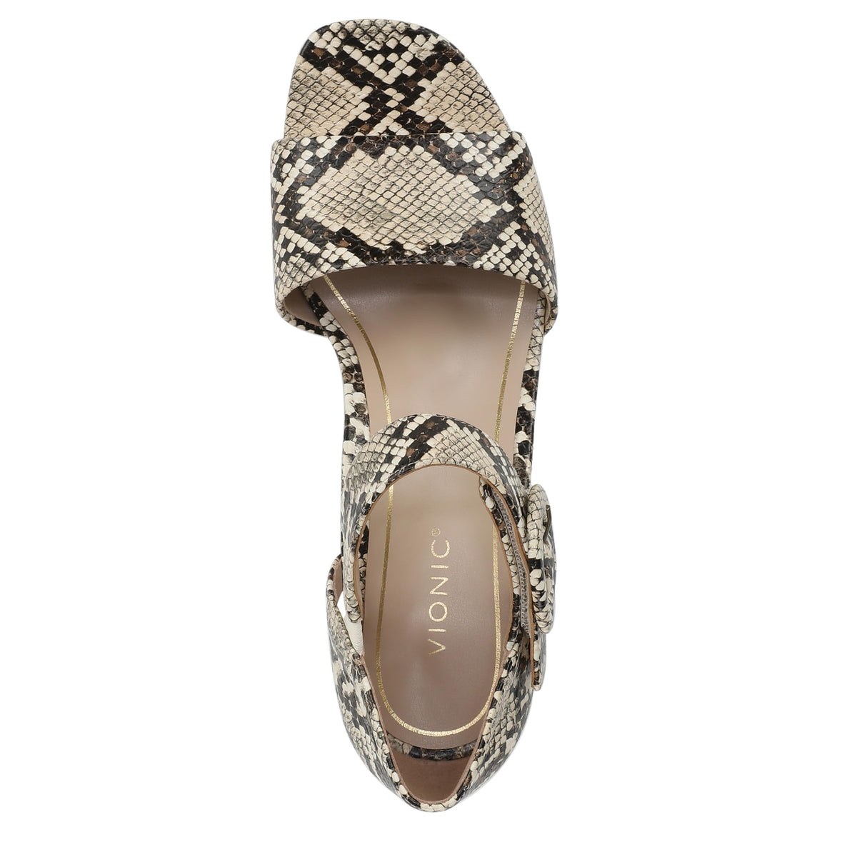 Ivory Multi