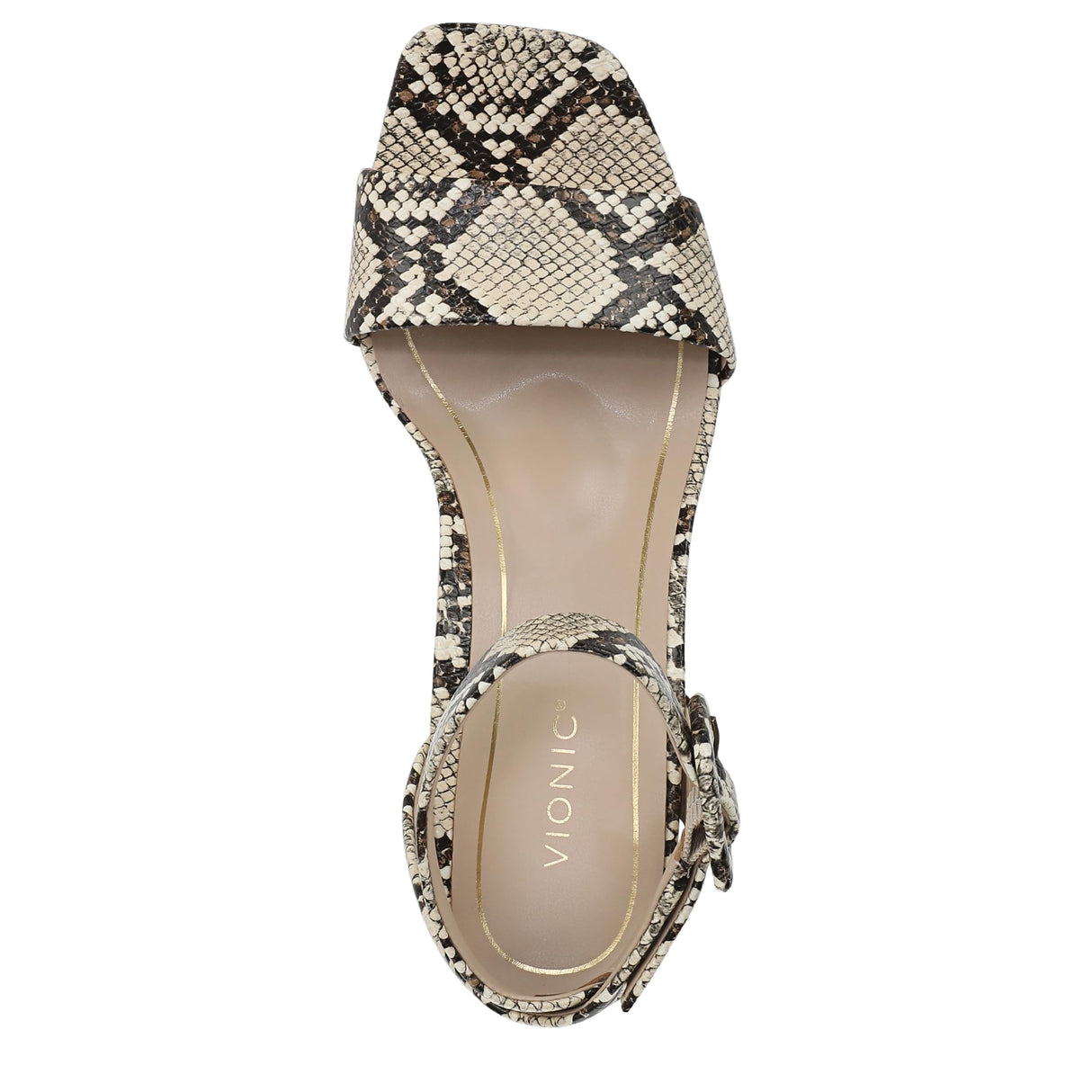 Ivory Multi