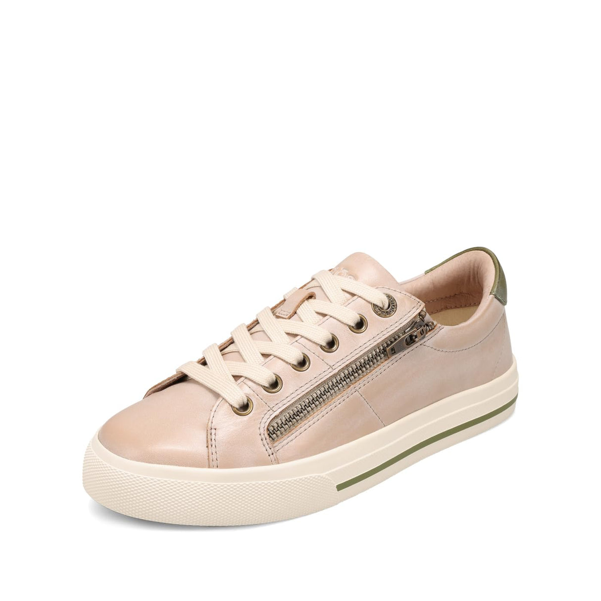 Oyster/Olive