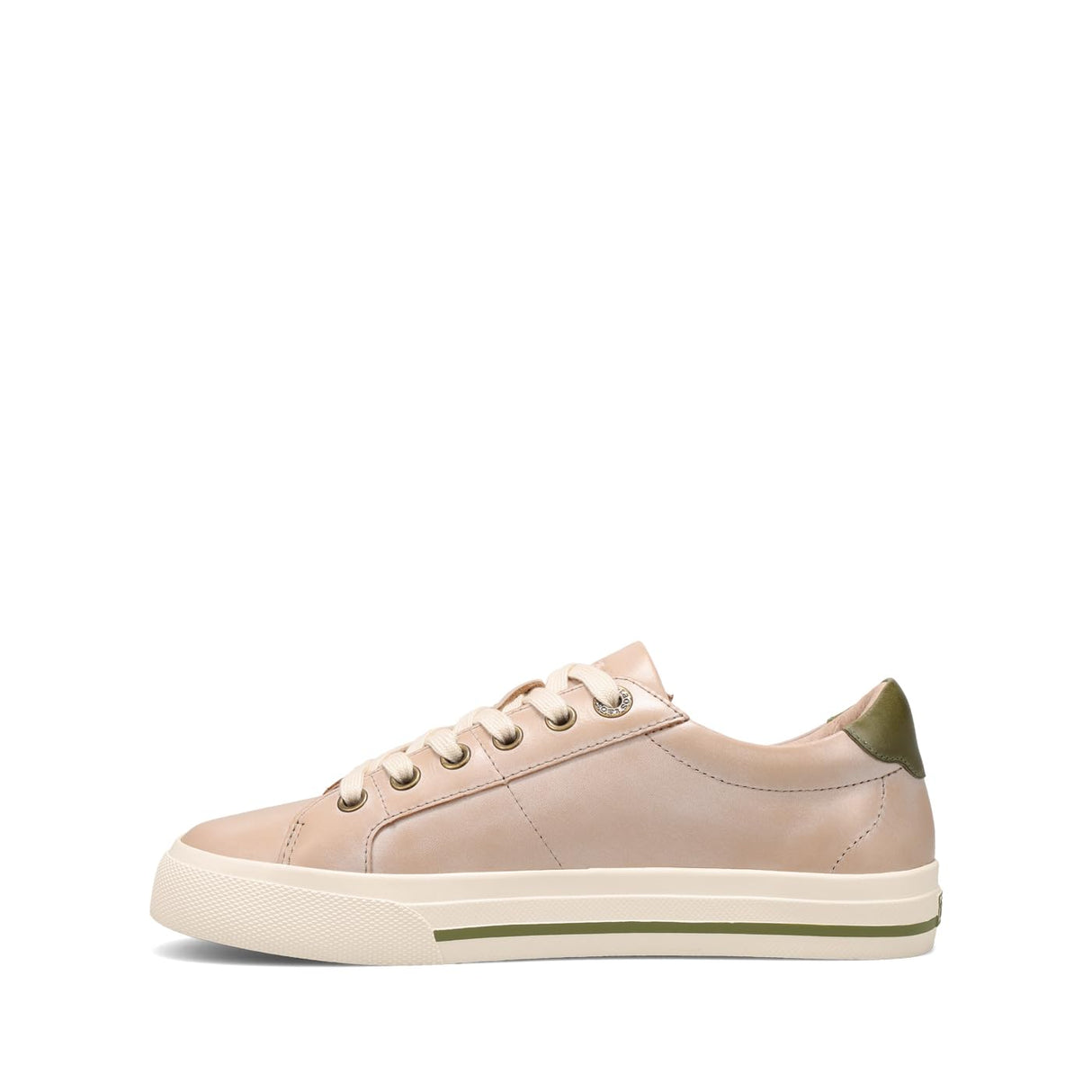 Oyster/Olive