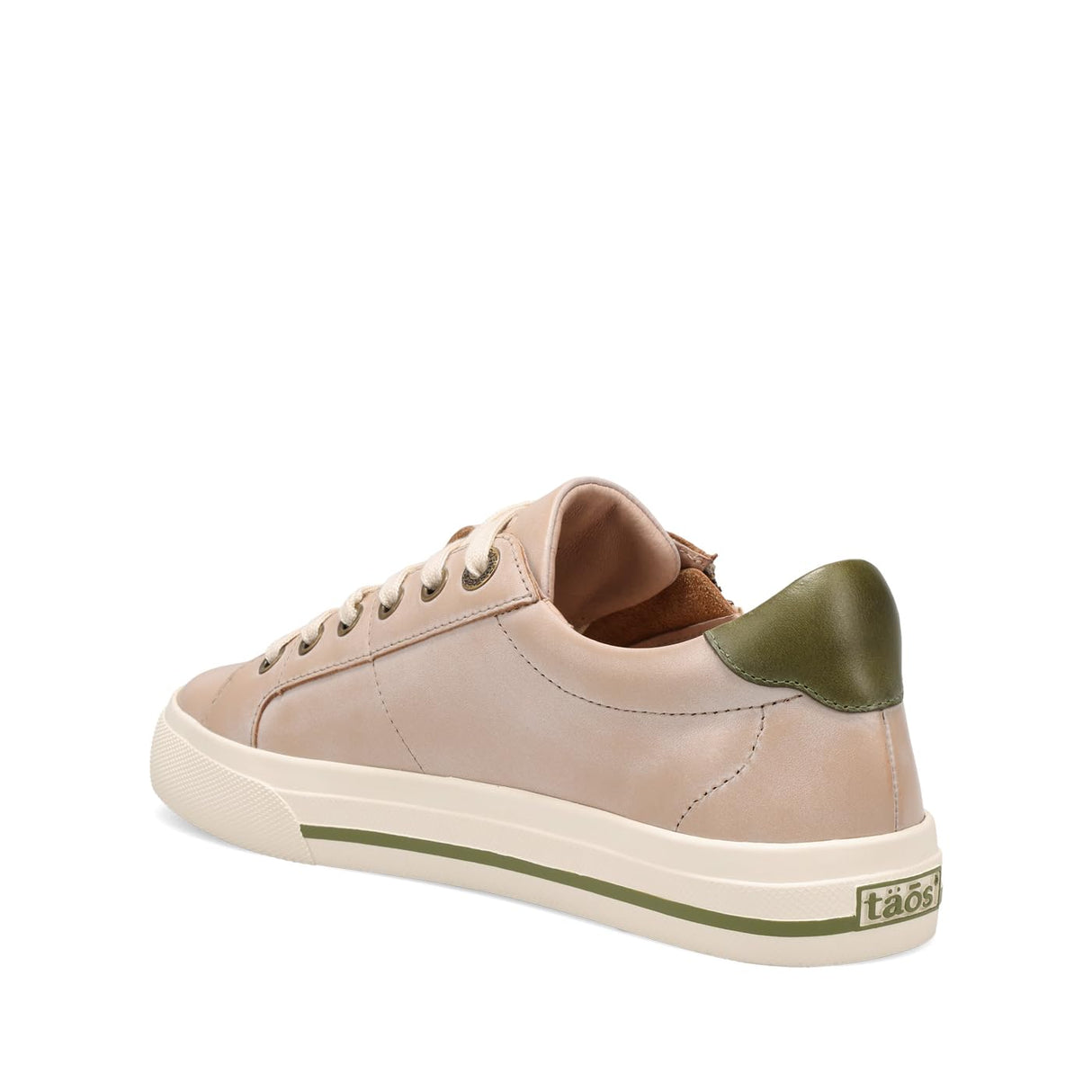 Oyster/Olive