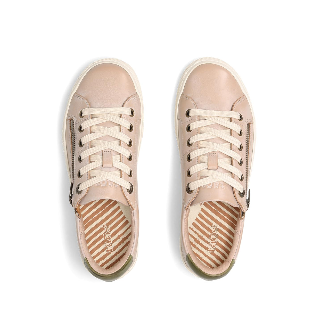 Oyster/Olive