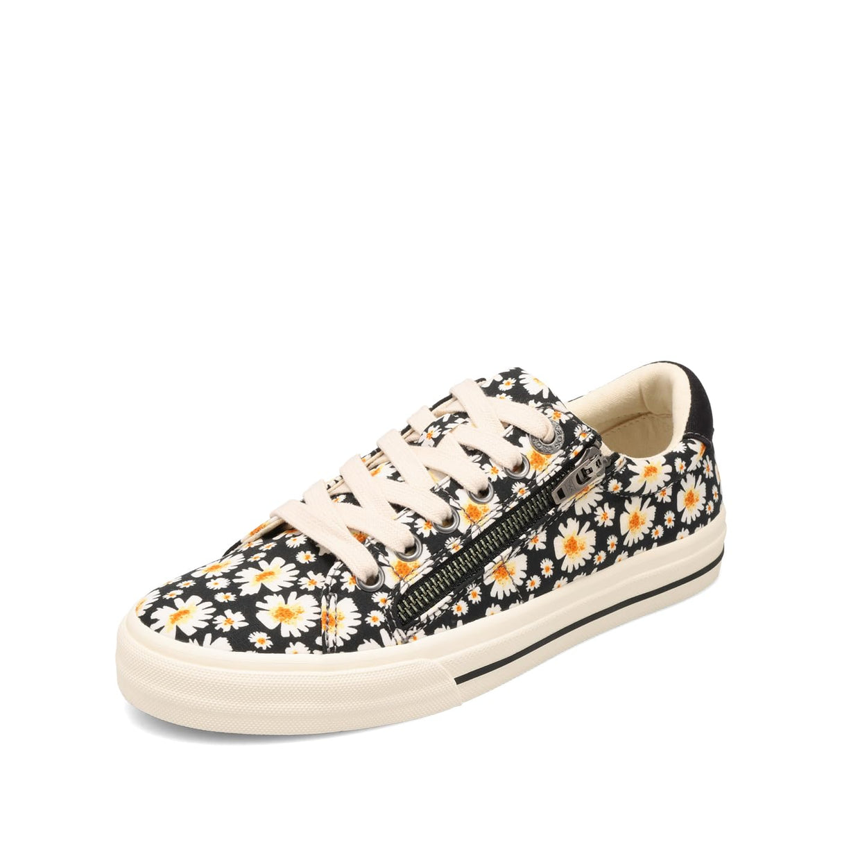 Black Daisy