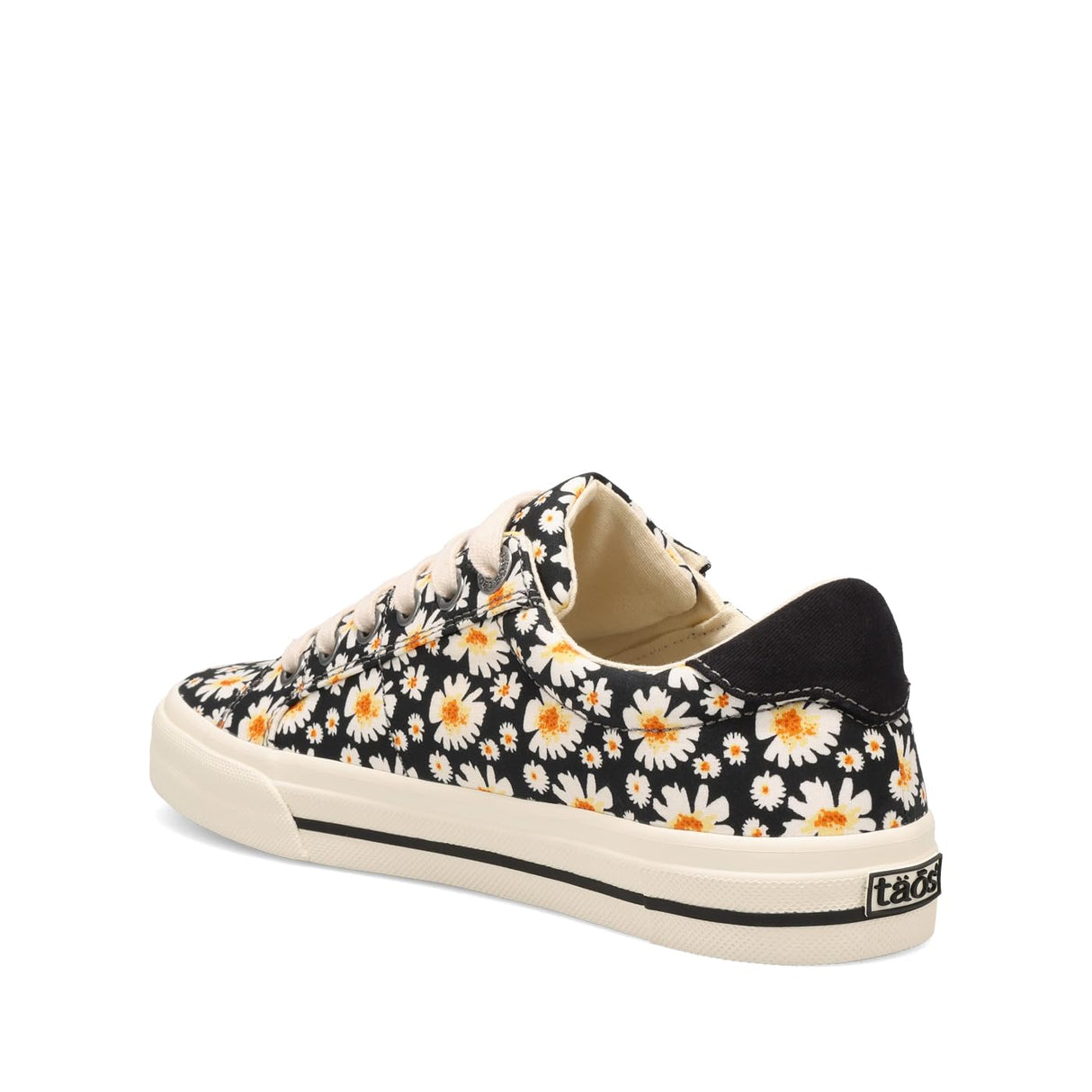Black Daisy