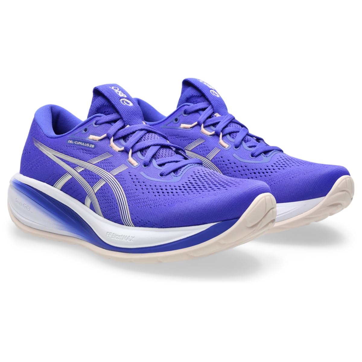 Cobalt Burst/Ivory
