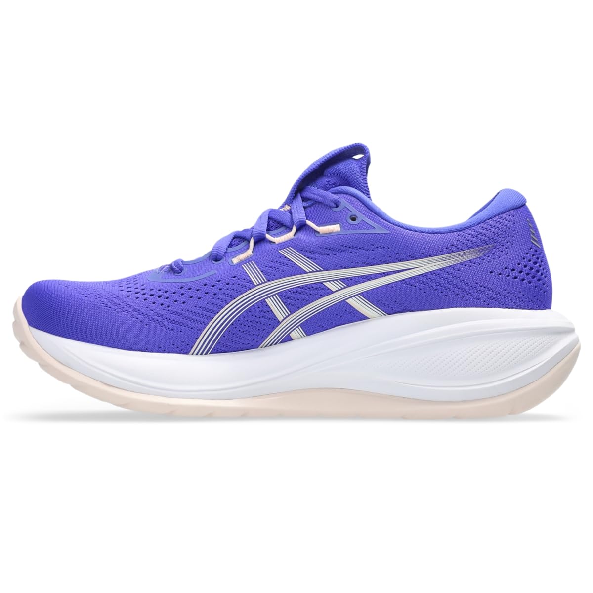 Cobalt Burst/Ivory