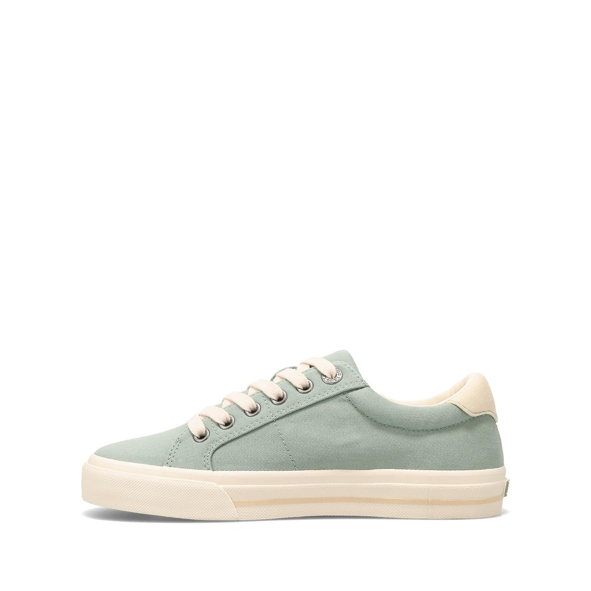 Spearmint/Cream Distressed