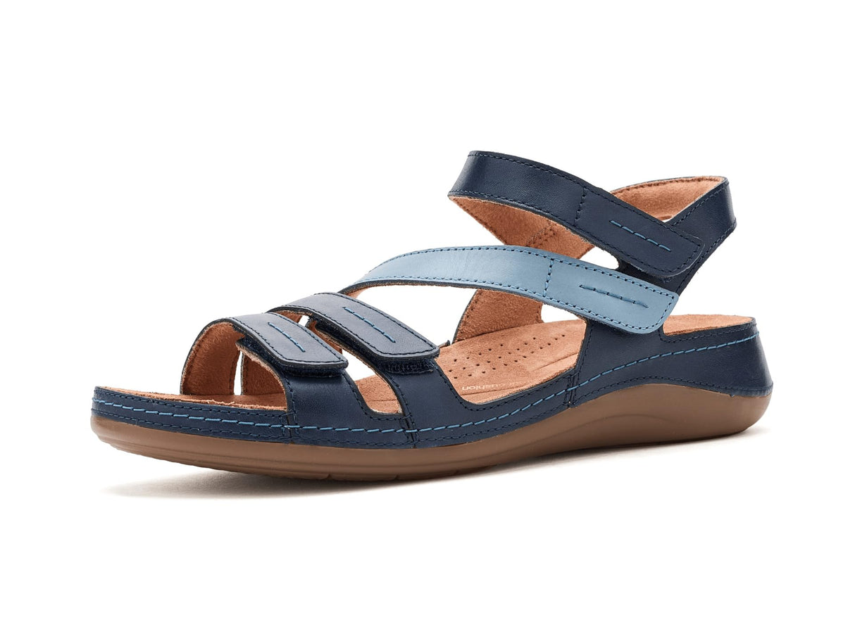 Blue Combi