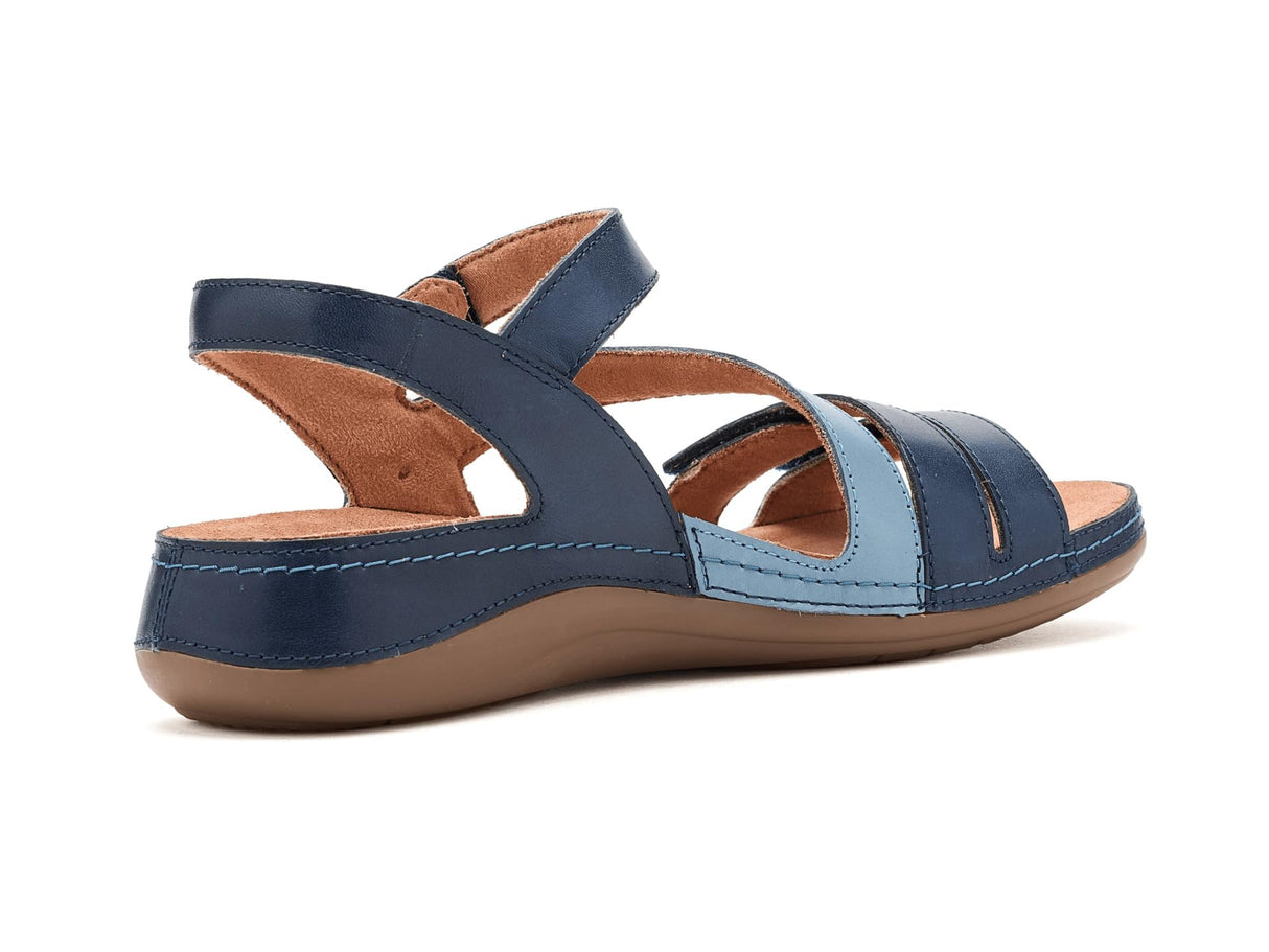 Blue Combi