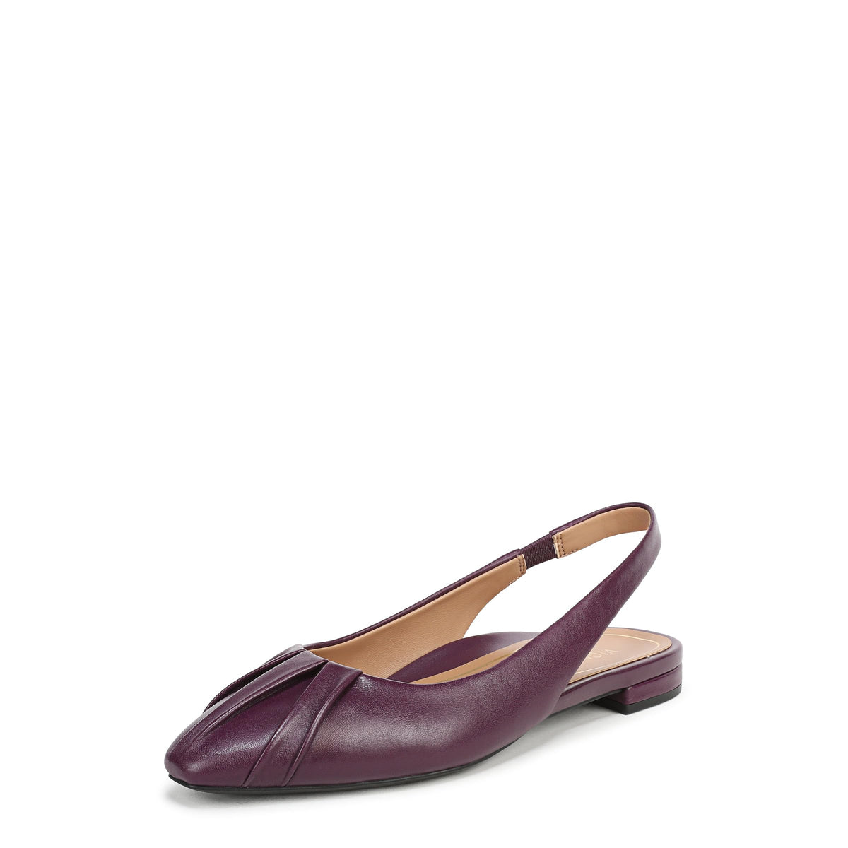 Winter Plum