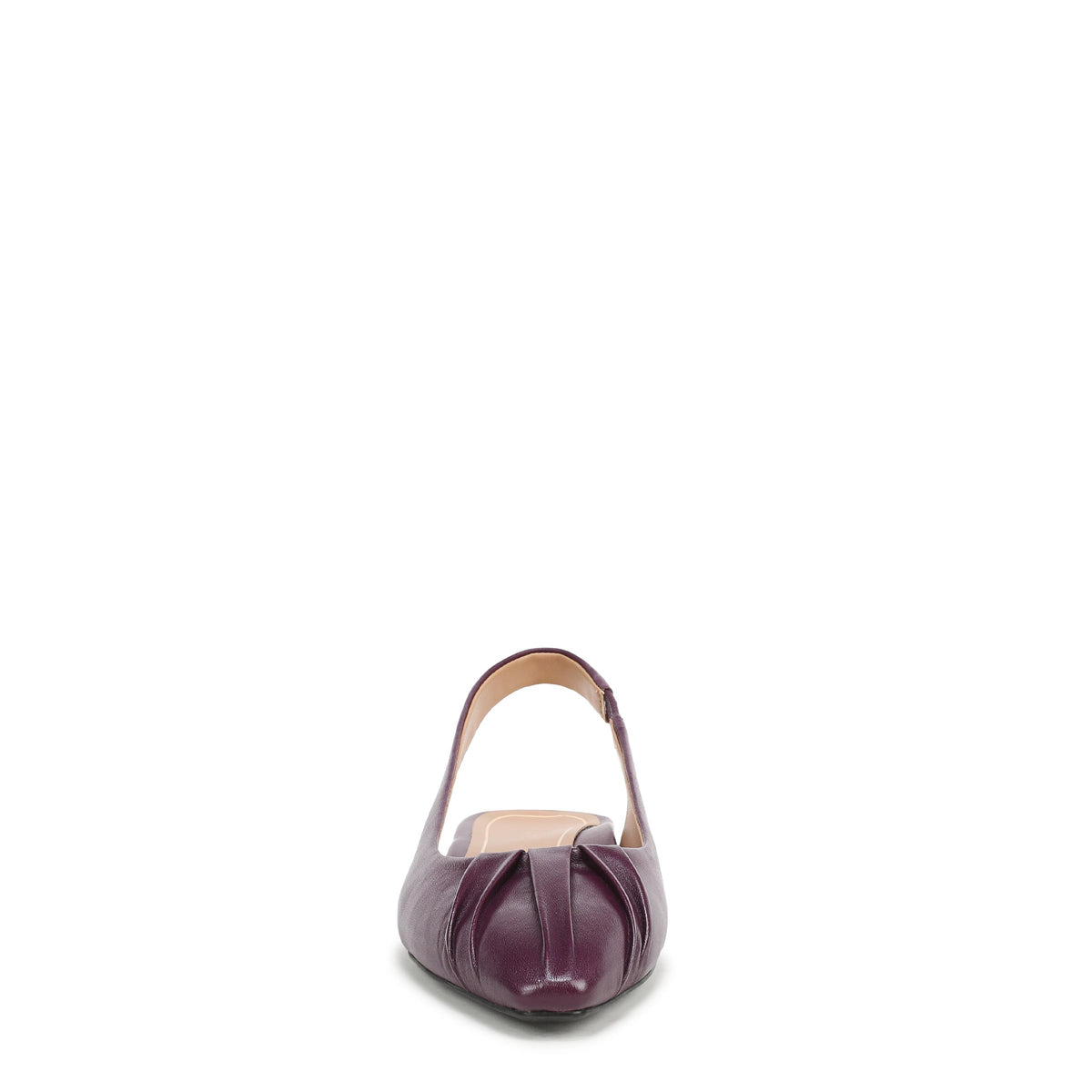 Winter Plum