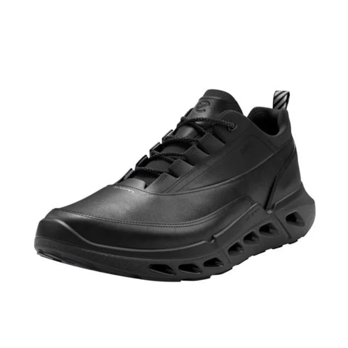 ECCO Biom 720 Low GTXS Leather Mens