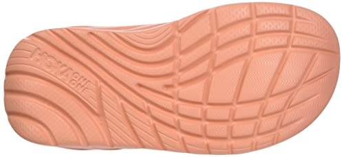 Amber Yellow / Shell Coral