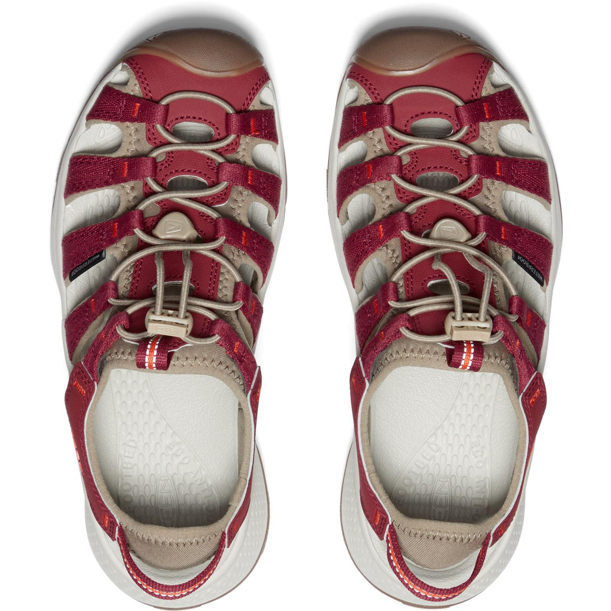 Merlot/Scarlet Ibis