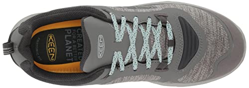 Steel Grey/Cloud Blue
