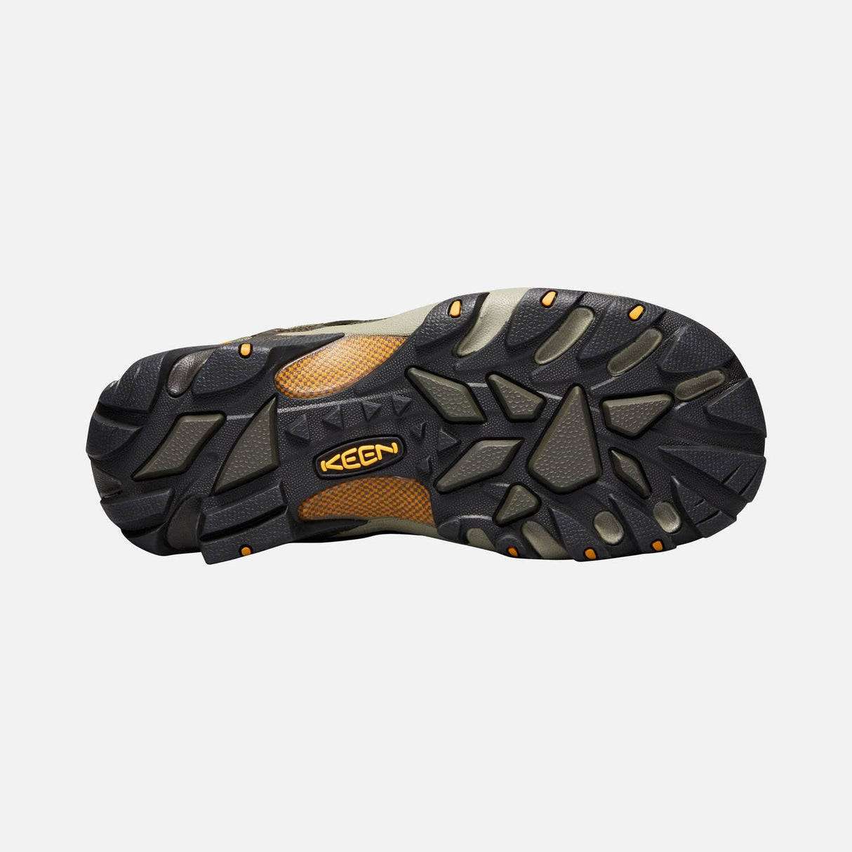 Black Olive/Inca Gold