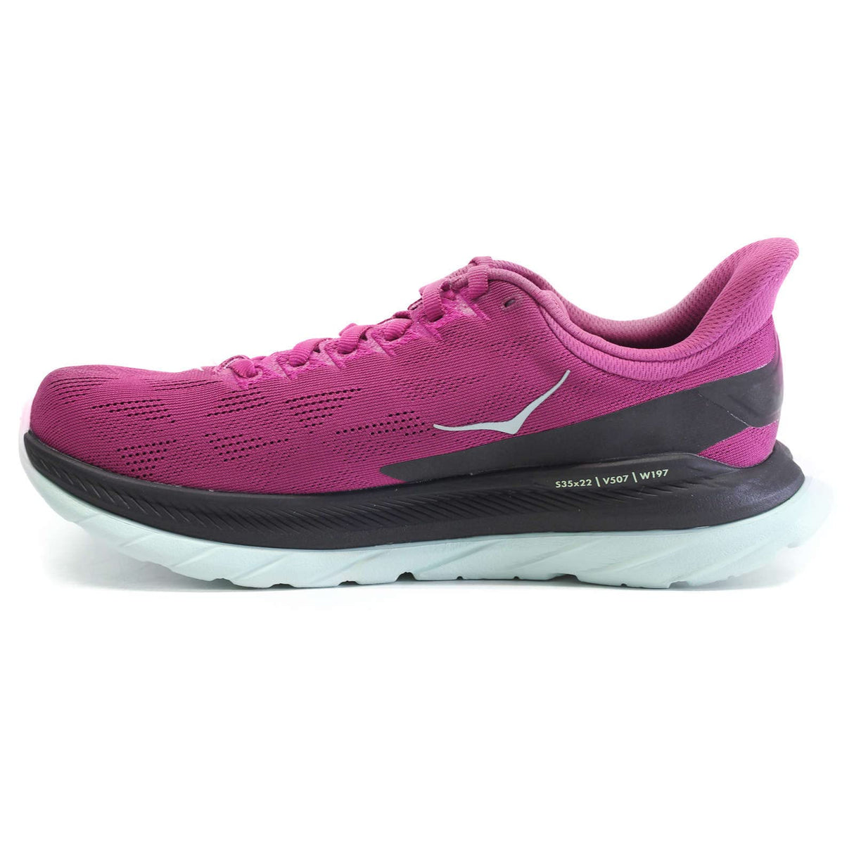 Festival Fuchsia / Black