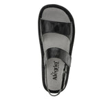 Basketry Black