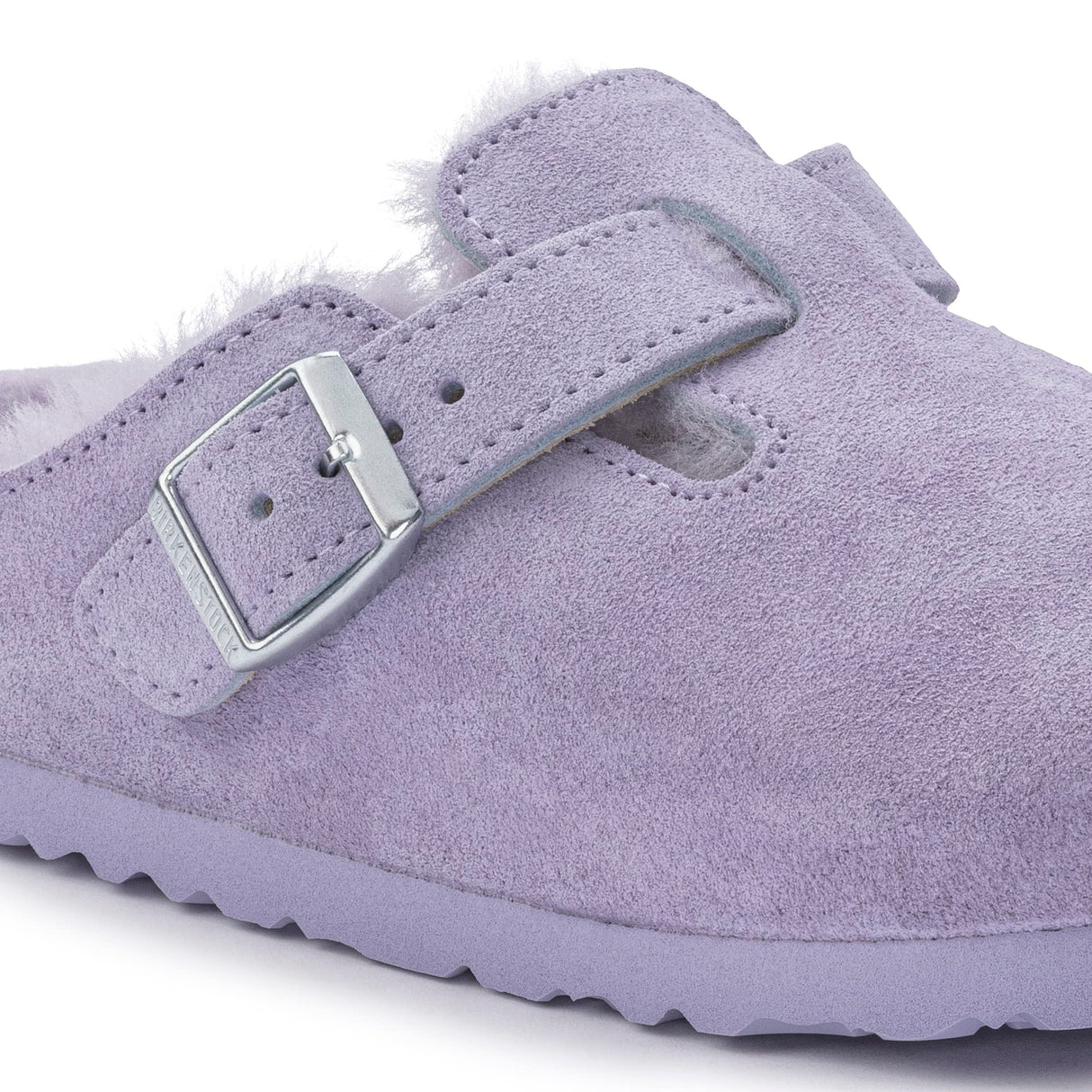 Purple Fog