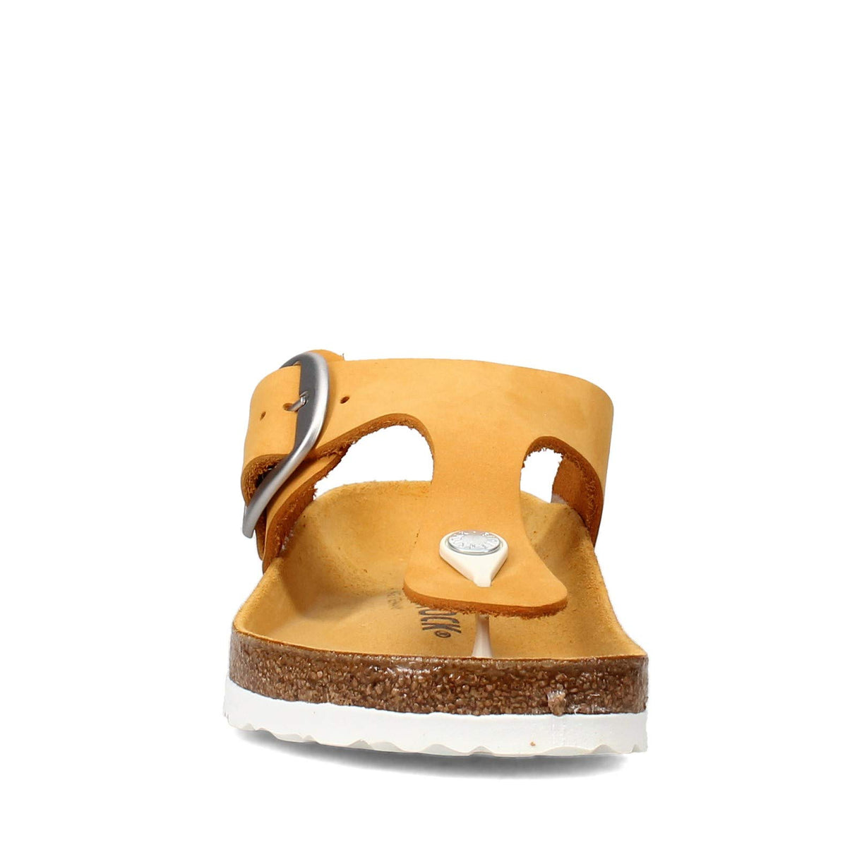 Apricot