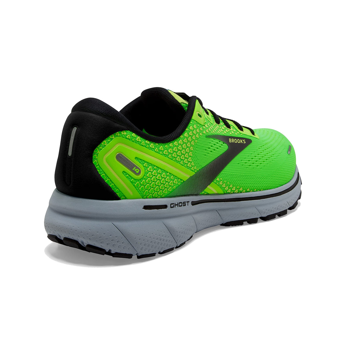 Green Gecko/Blue/Black