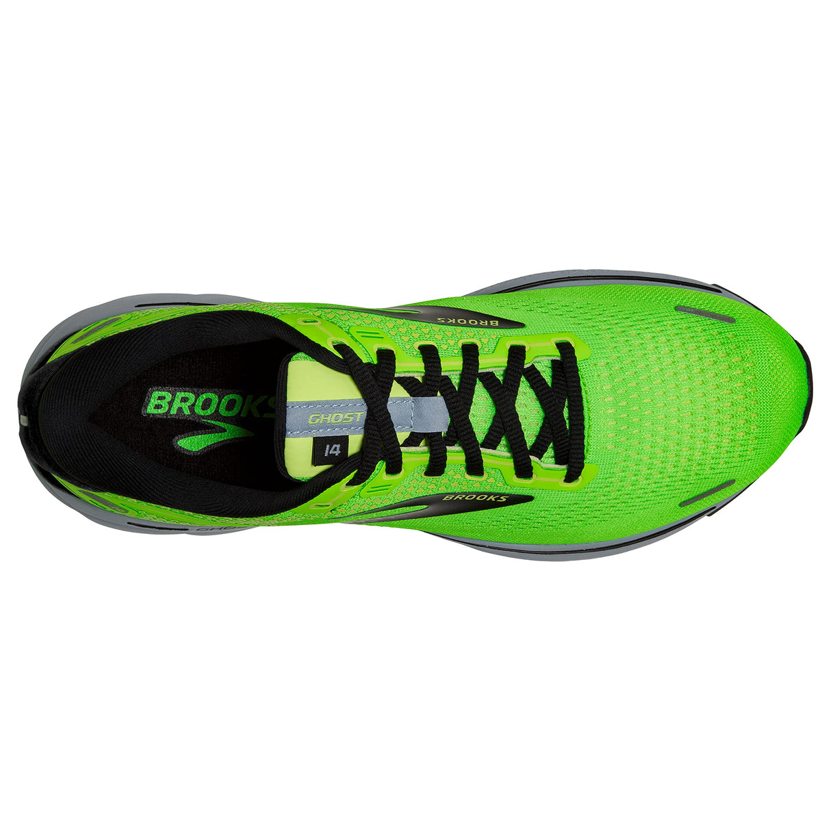 Green Gecko/Blue/Black