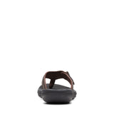 Dark Brown/Black