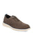 Ch Morel/Tea Leaf/Ensign Blue