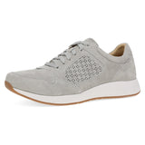 Grey Suede