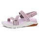Lilac Multi Webbing