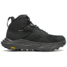 black/black