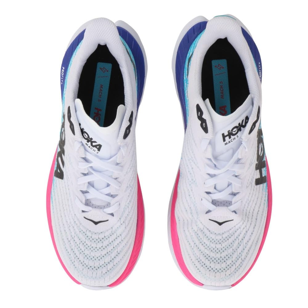 White / Scuba Blue