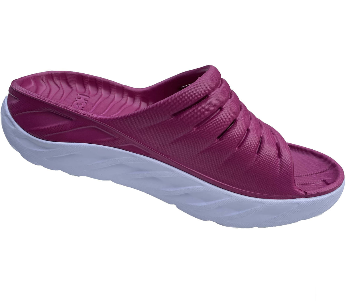 Festival Fuchsia / Butterfly