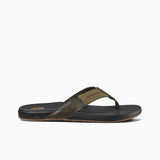Olive Swells
