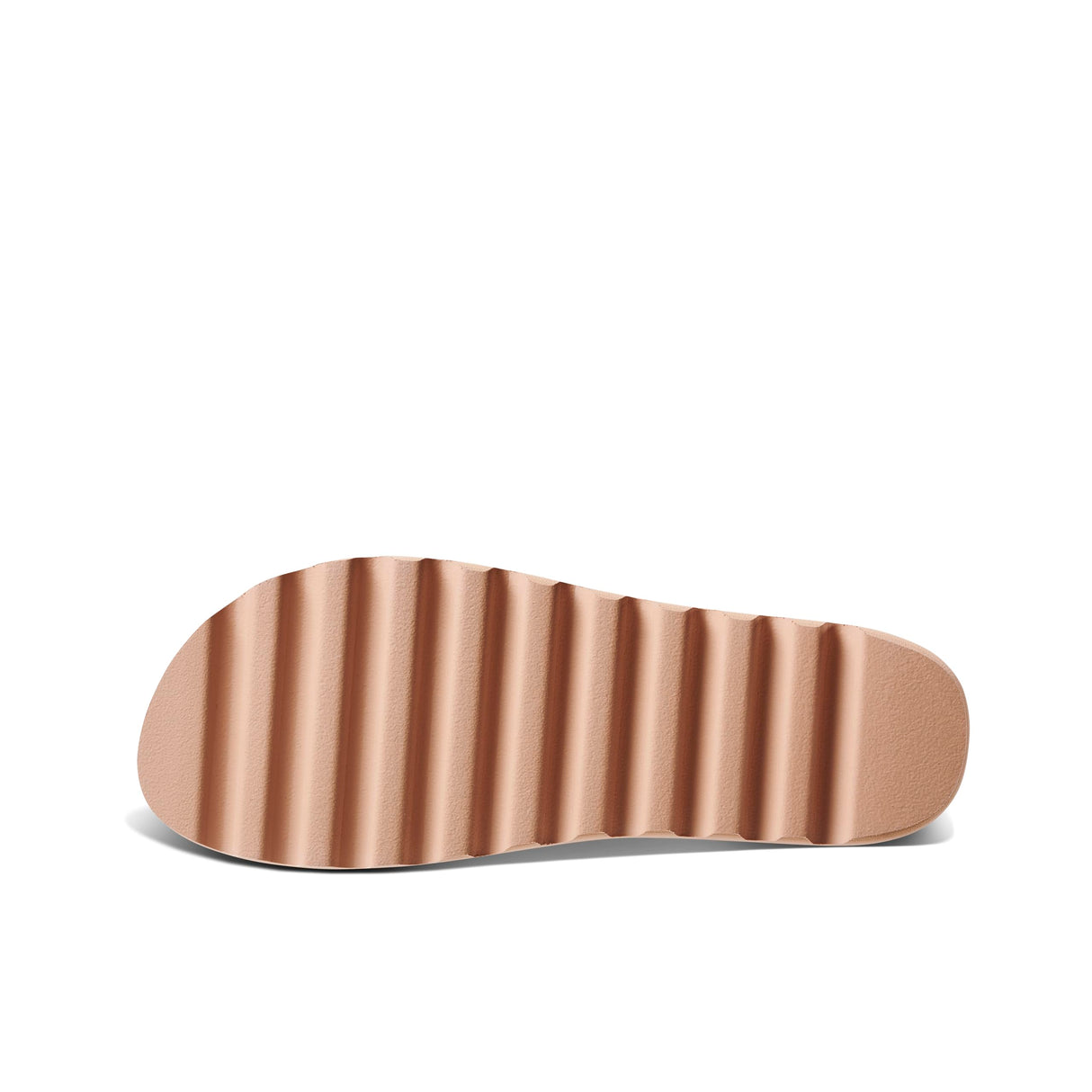 Seashell