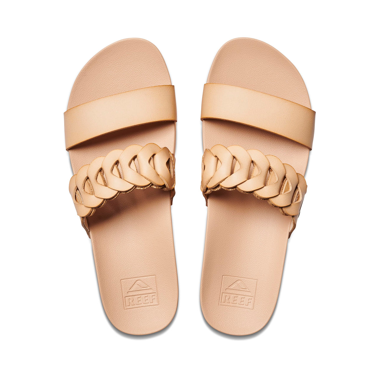 Seashell