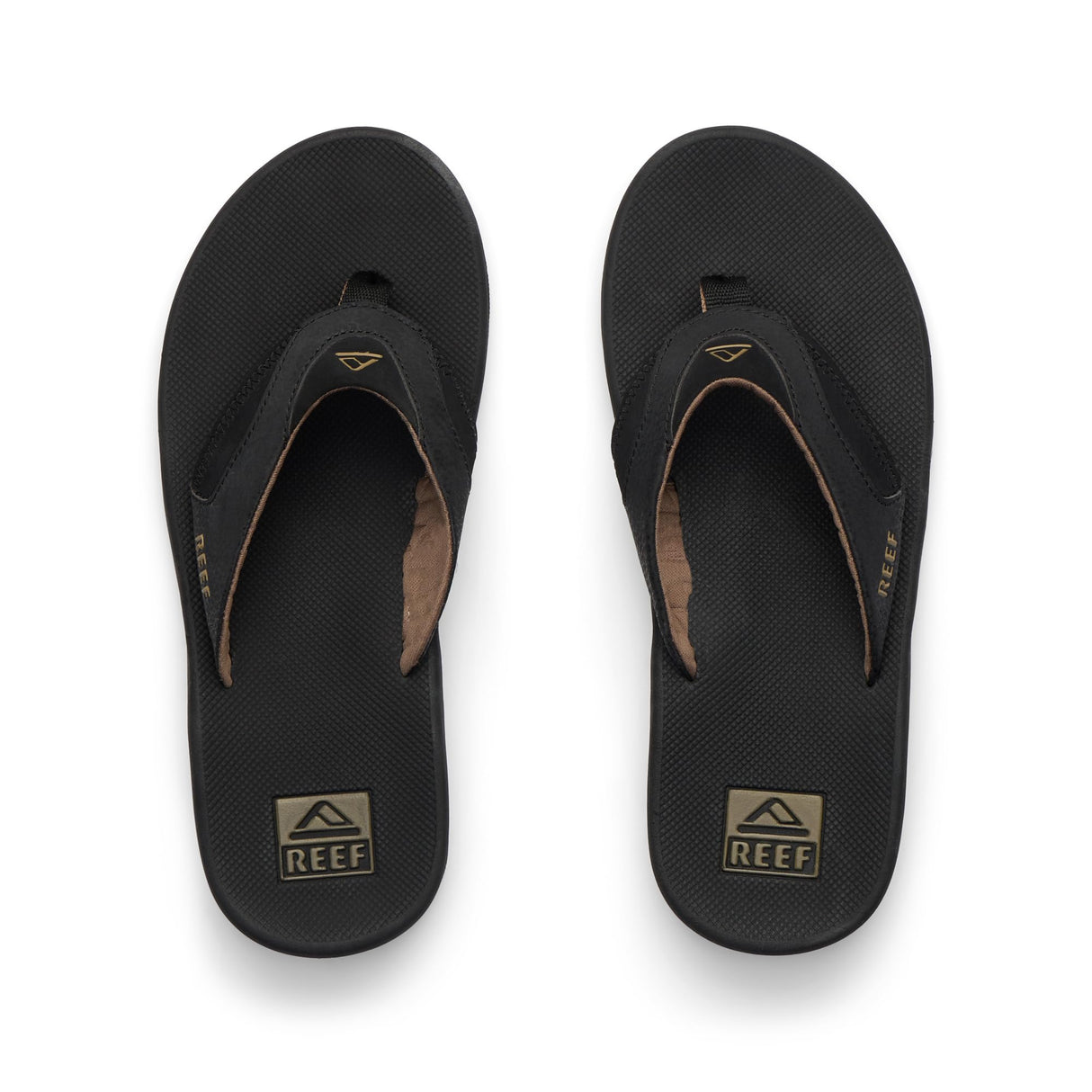 Black And Tan