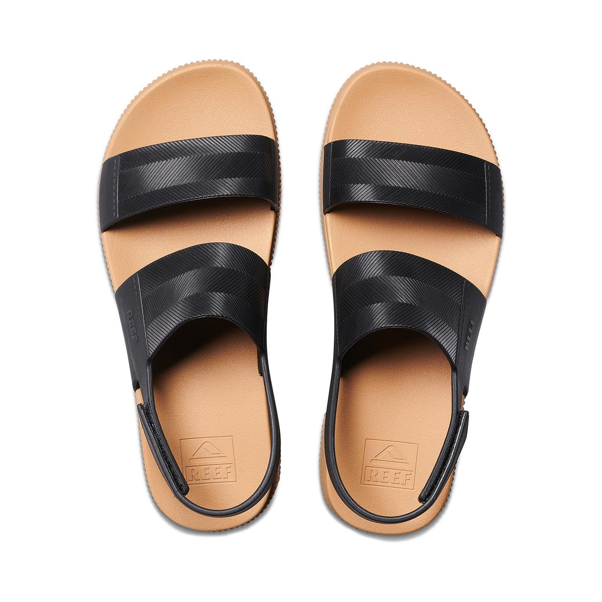 Black/Tan