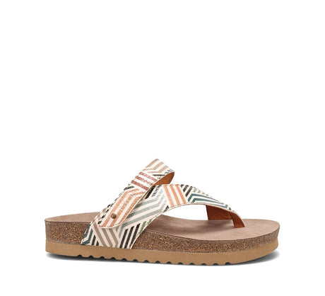 Geometric Multi